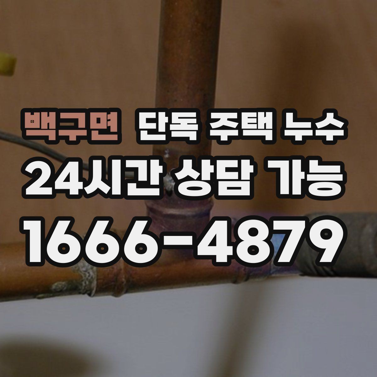 백구면 단독 주택 누수 주방 쪽만 젖을 때 배관 가능성