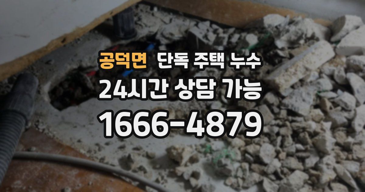 공덕면 단독 주택 누수