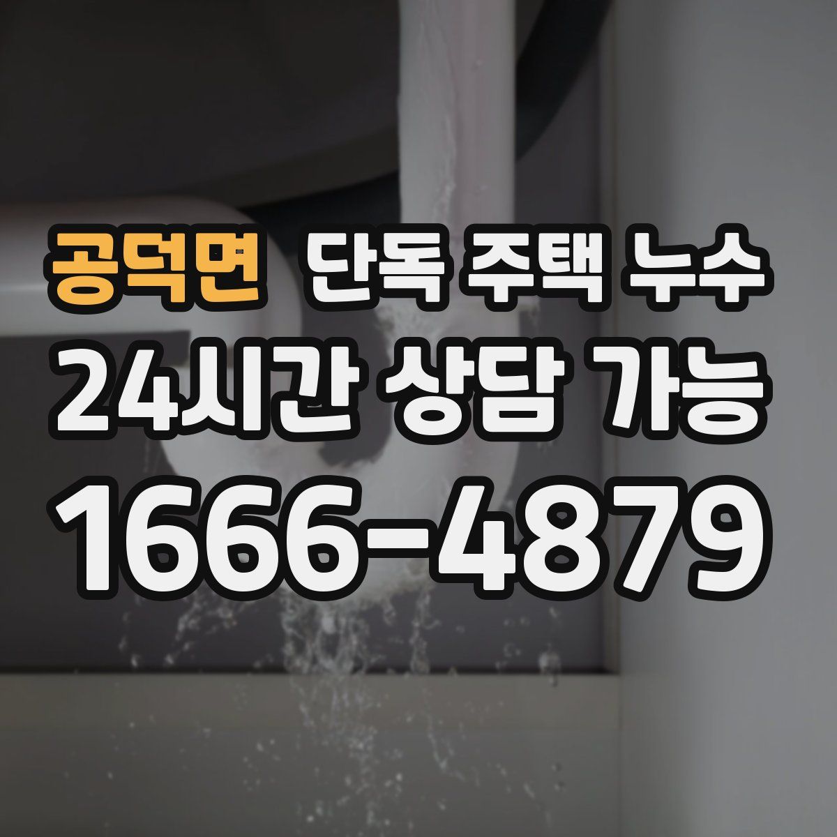 공덕면 단독 주택 누수