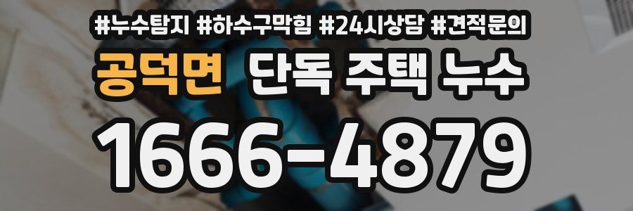 공덕면 단독 주택 누수