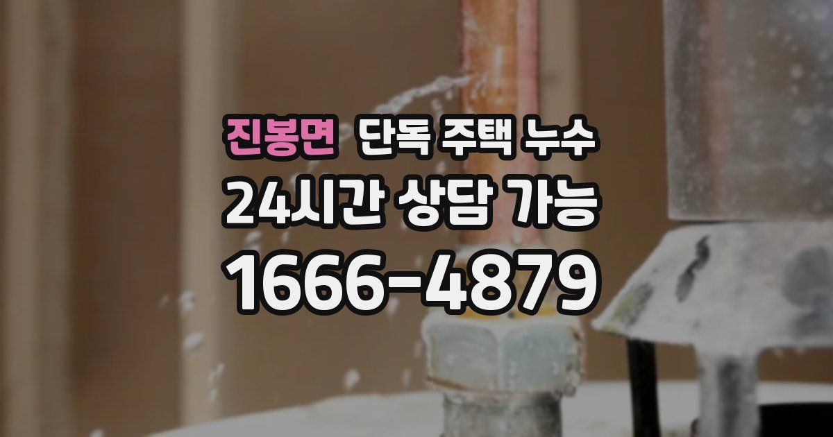 진봉면 단독 주택 누수