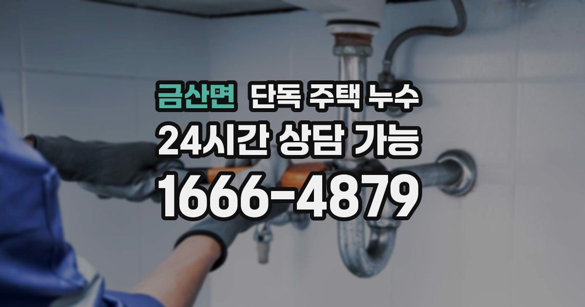 금산면 단독 주택 누수