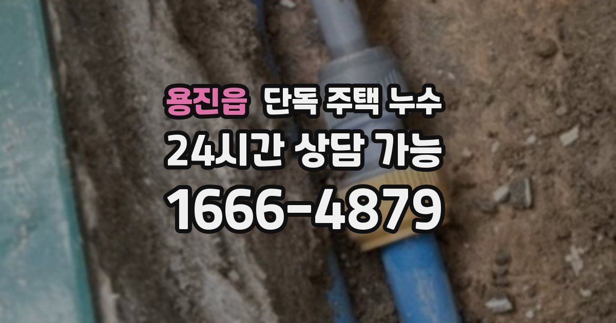 용진읍 단독 주택 누수