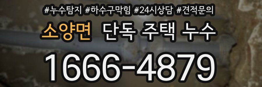소양면 단독 주택 누수