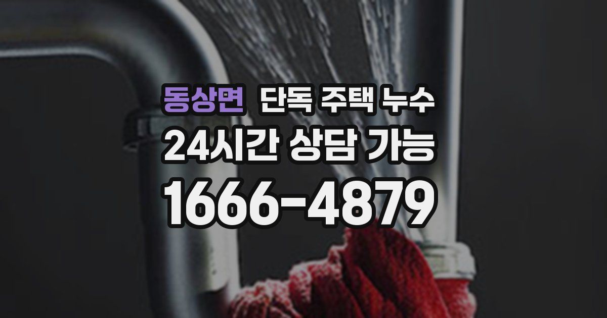 동상면 단독 주택 누수