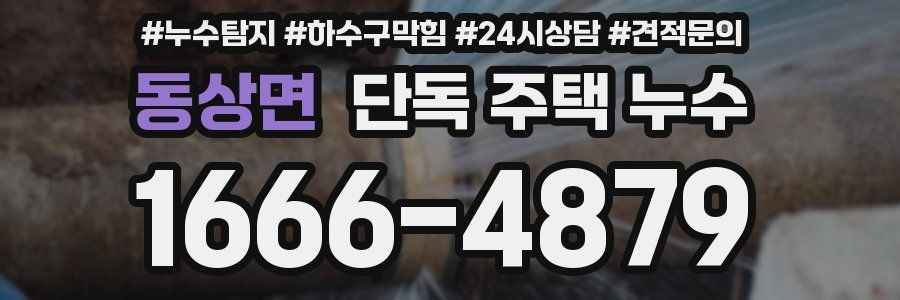 동상면 단독 주택 누수
