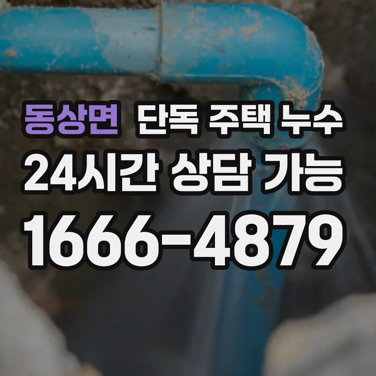 동상면 단독 주택 누수