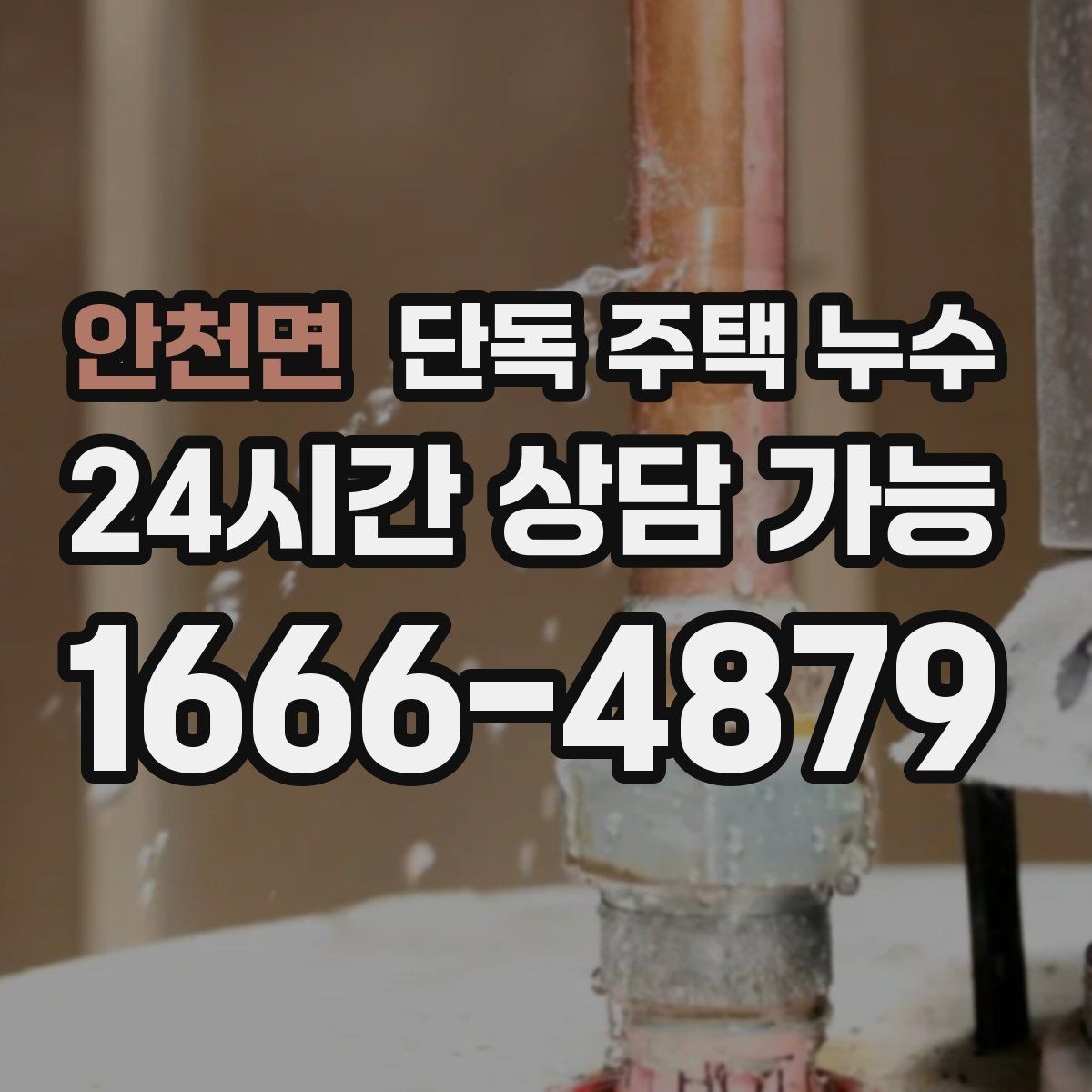안천면 단독 주택 누수 변기 주변 물 고임 원인과 대처