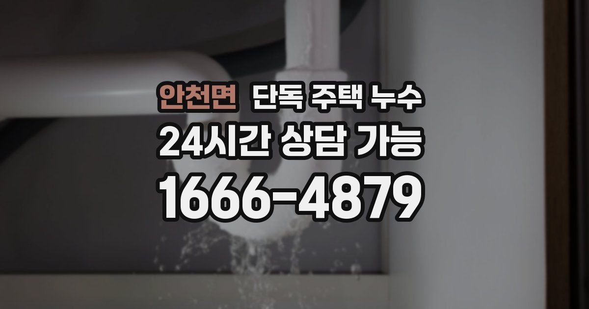 안천면 단독 주택 누수