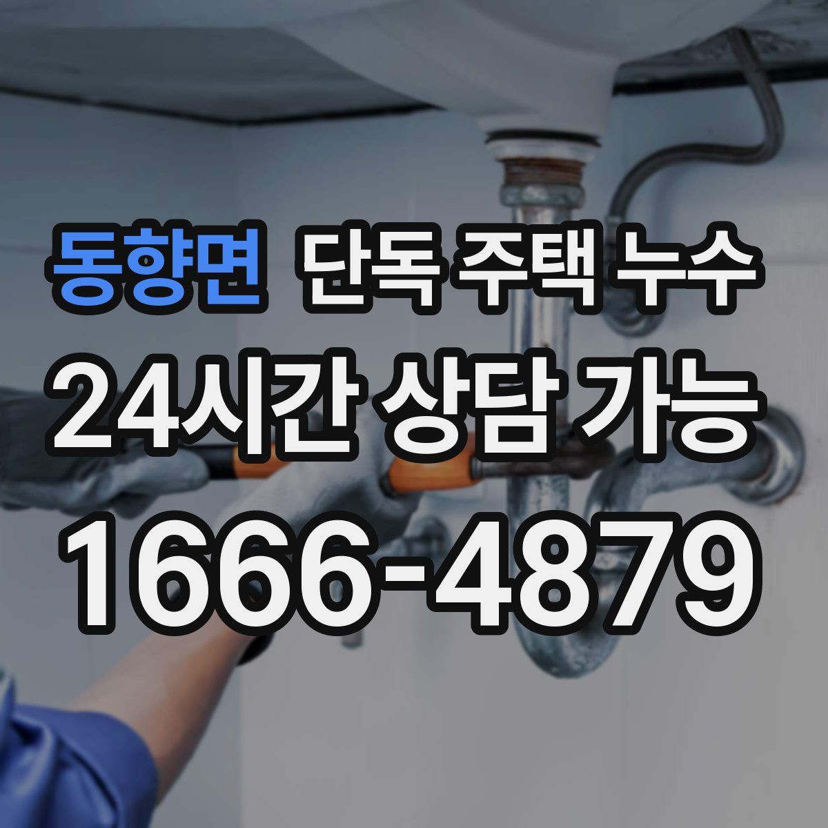 동향면 단독 주택 누수