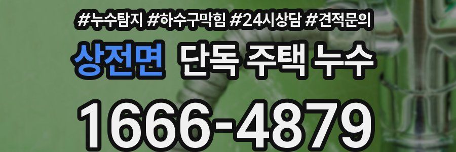 상전면 단독 주택 누수