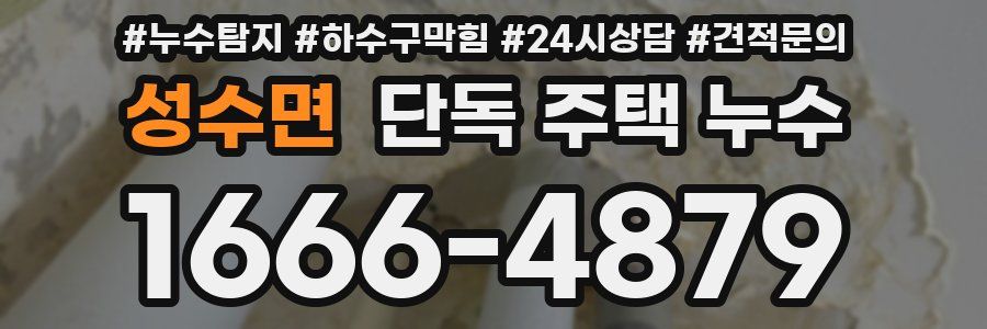 성수면 단독 주택 누수