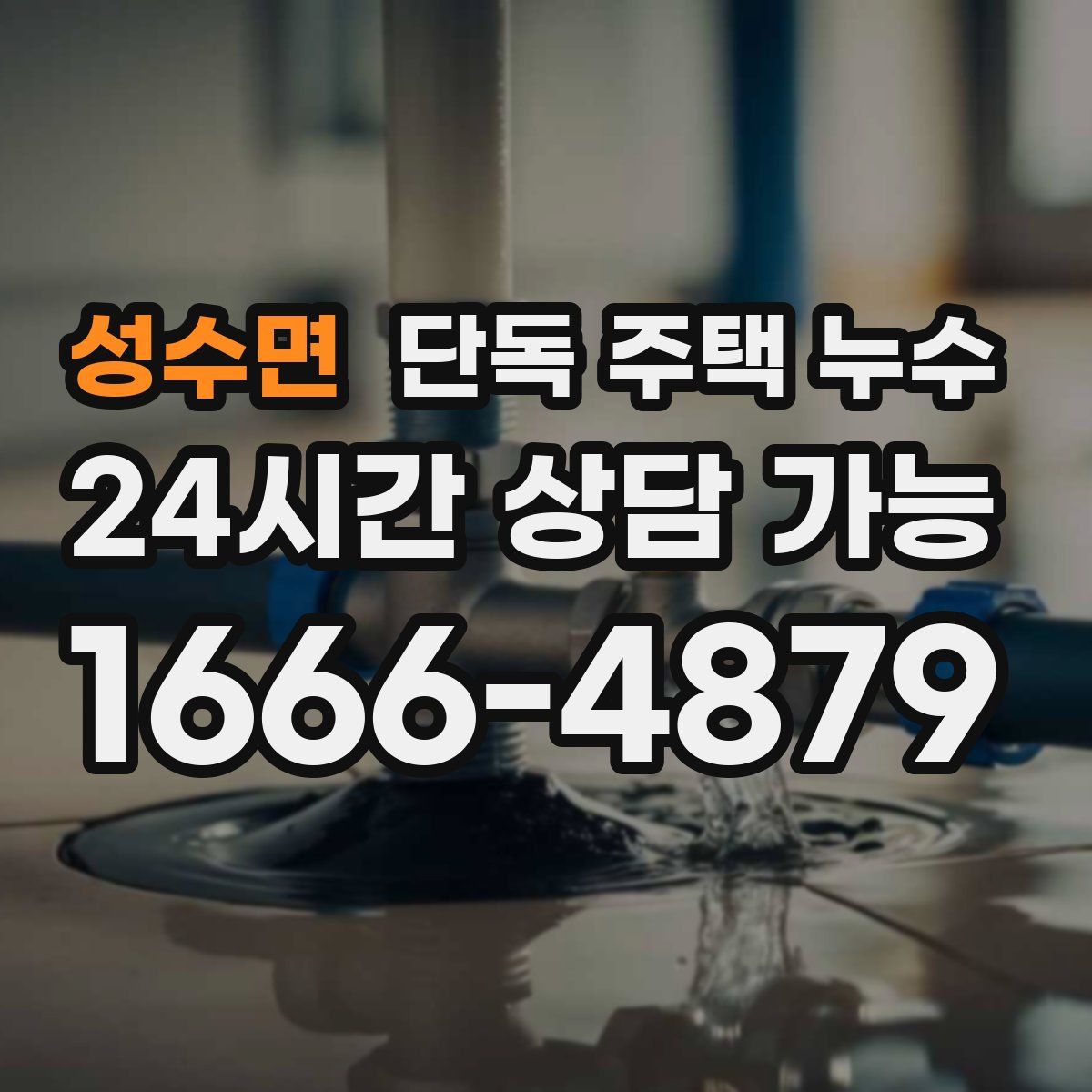성수면 단독 주택 누수