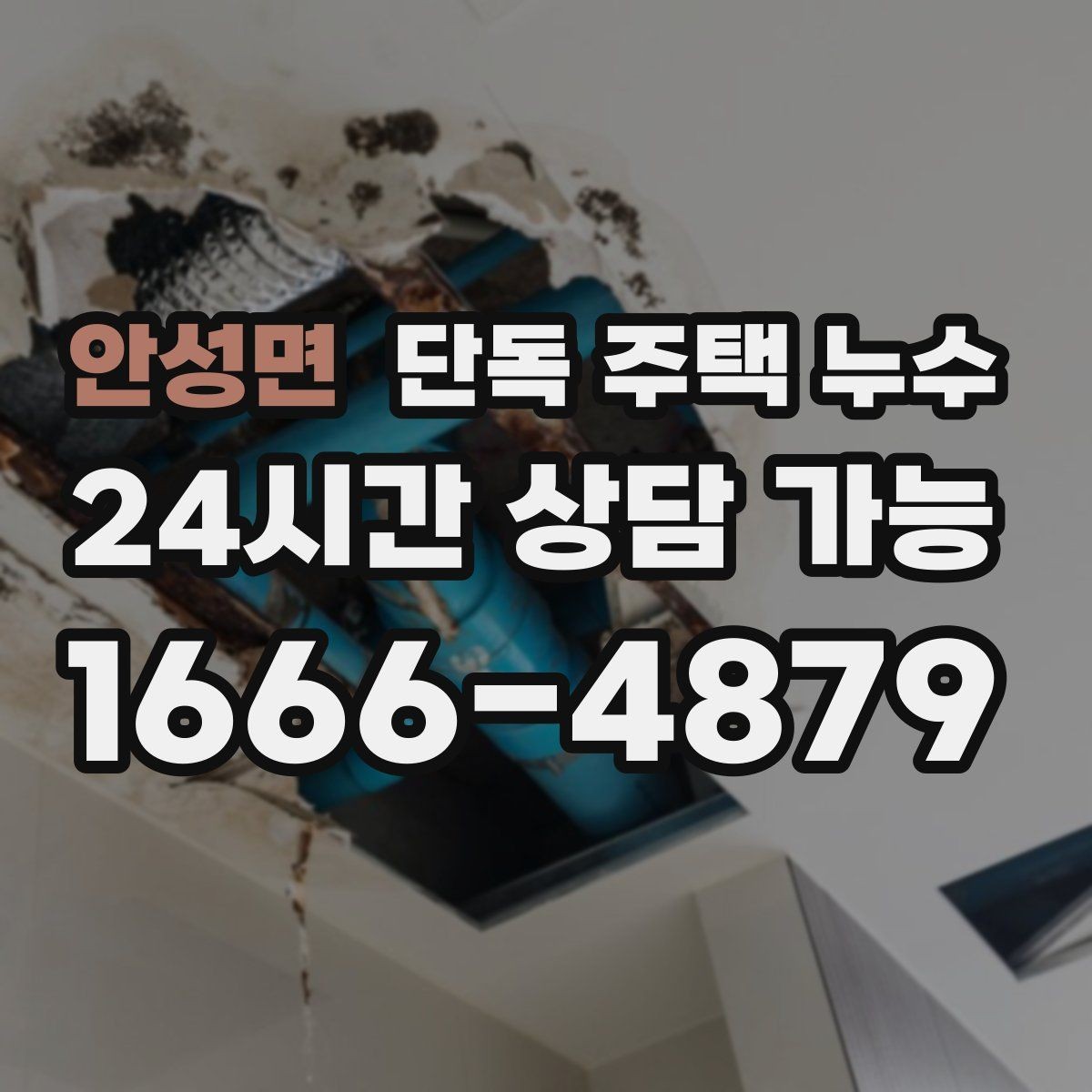안성면 단독 주택 누수 외부 수전 동파 후 누수로 이어질 때