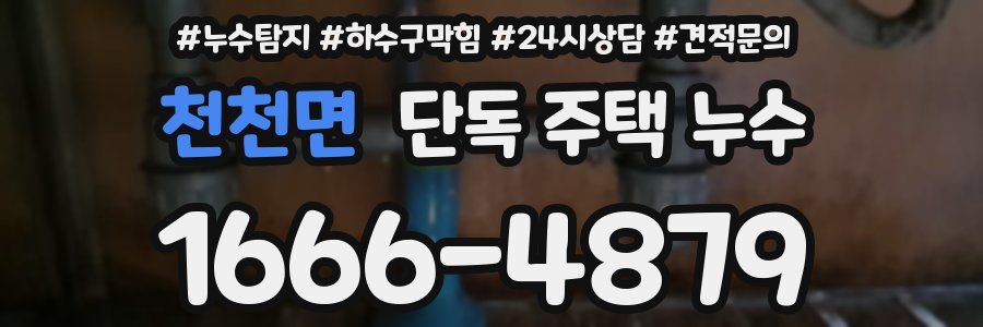 천천면 단독 주택 누수