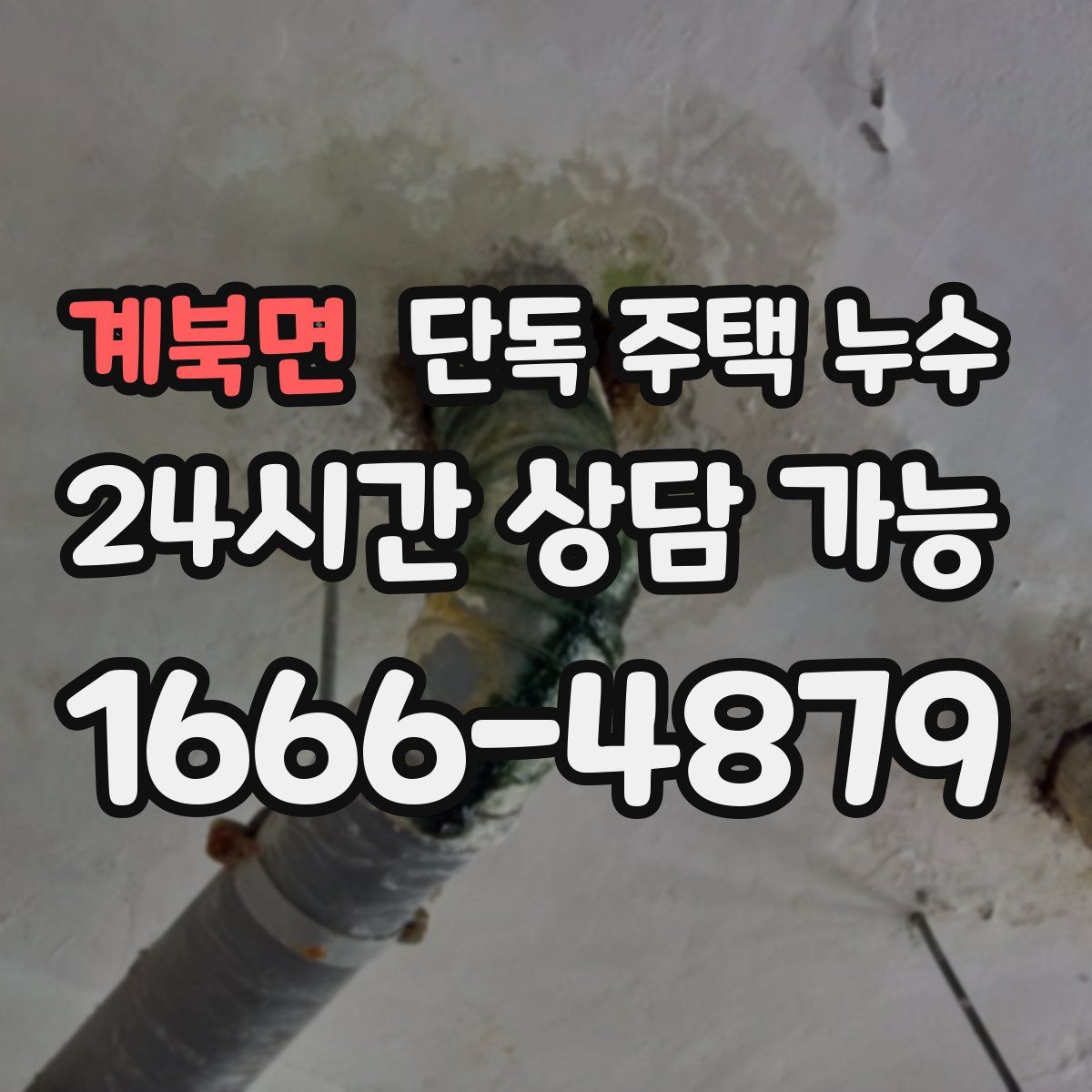 계북면 단독 주택 누수
