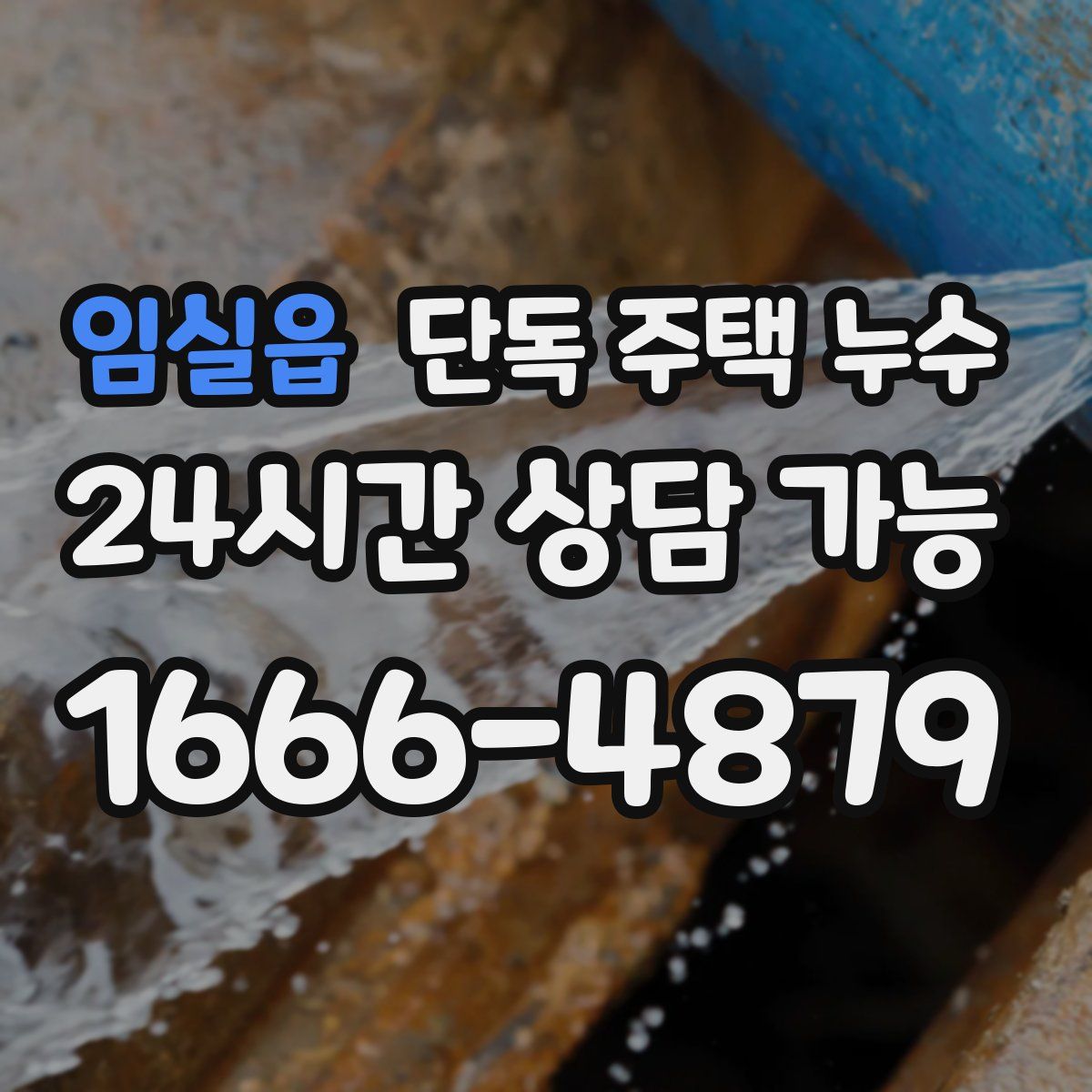 임실읍 단독 주택 누수