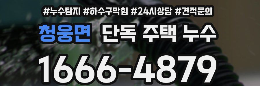 청웅면 단독 주택 누수