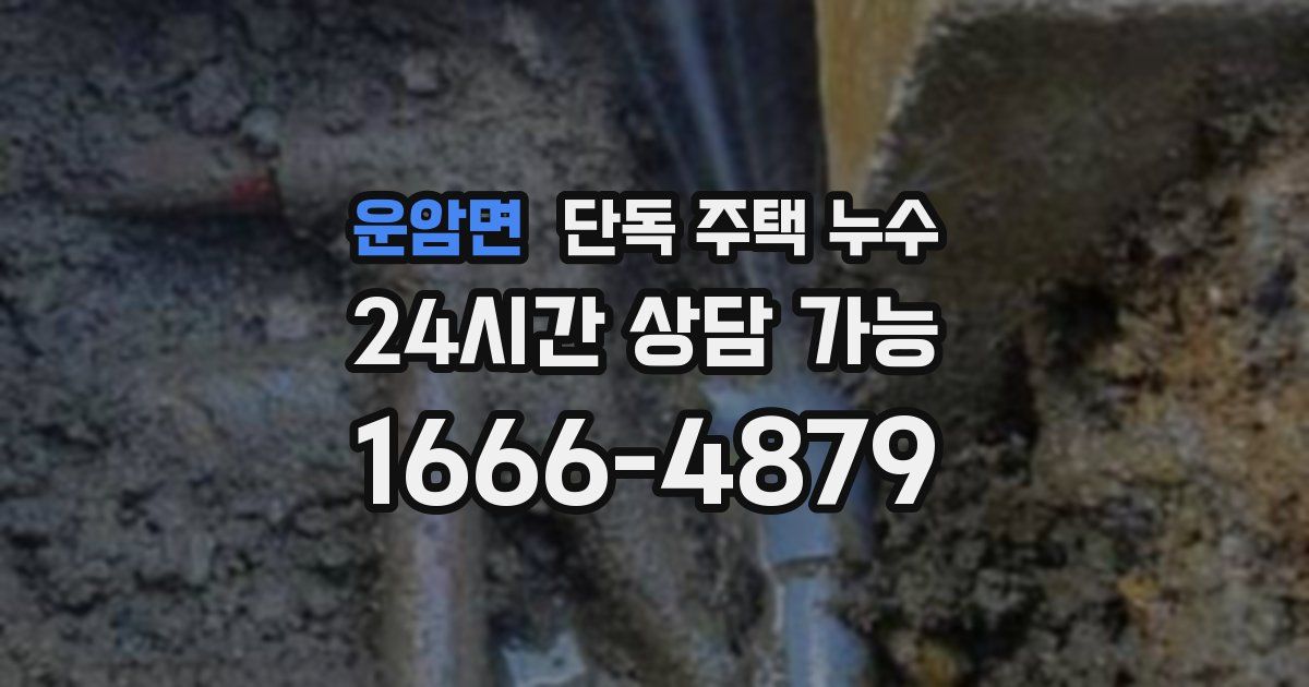 운암면 단독 주택 누수