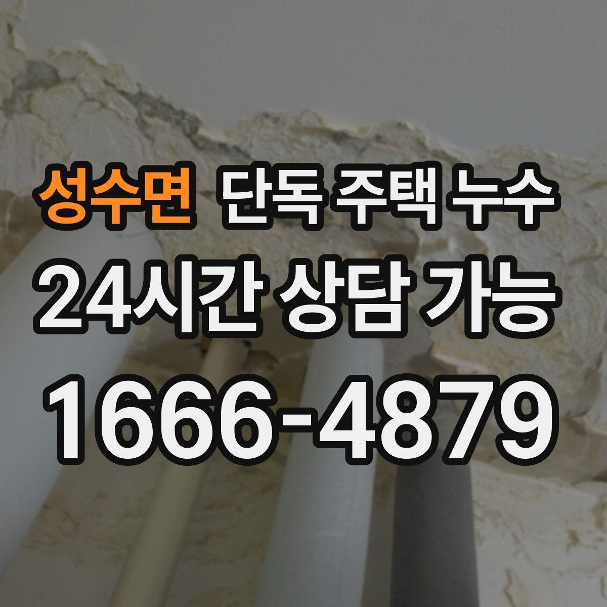 성수면 단독 주택 누수