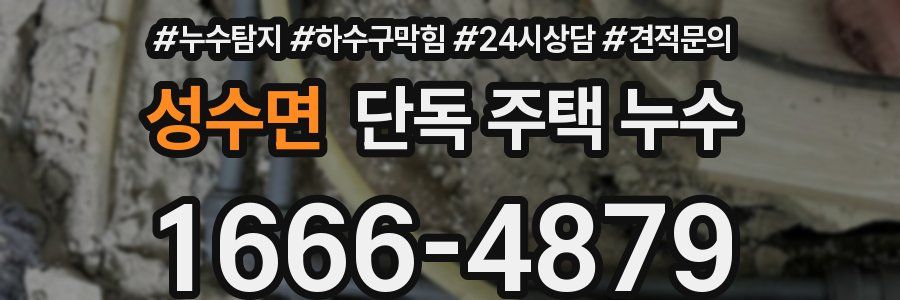 성수면 단독 주택 누수
