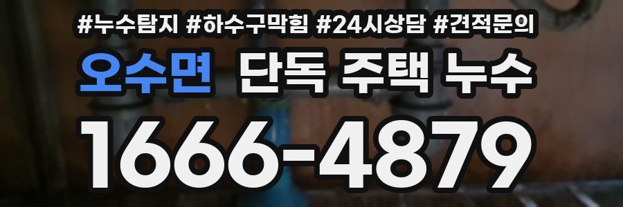 오수면 단독 주택 누수