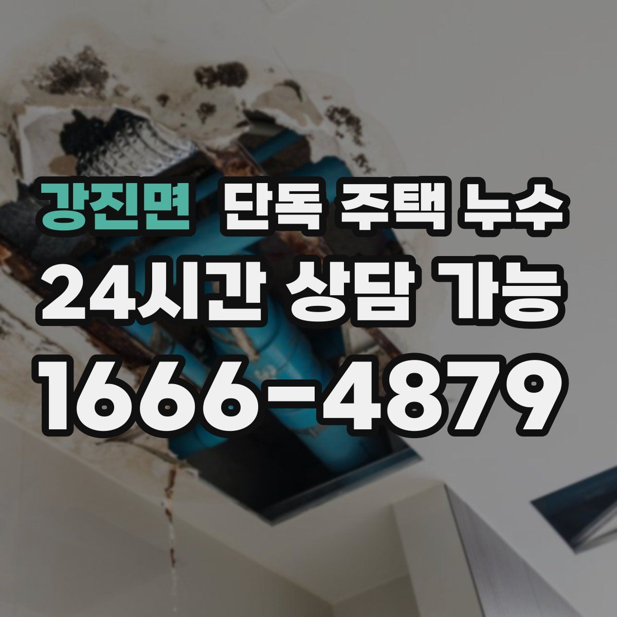 강진면 단독 주택 누수