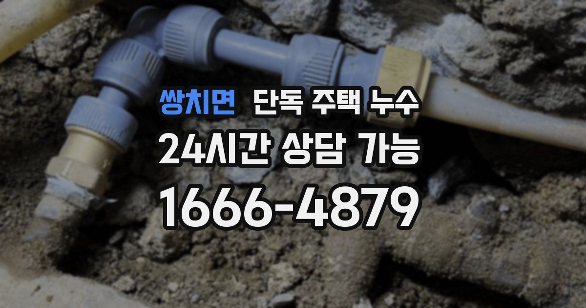 쌍치면 단독 주택 누수