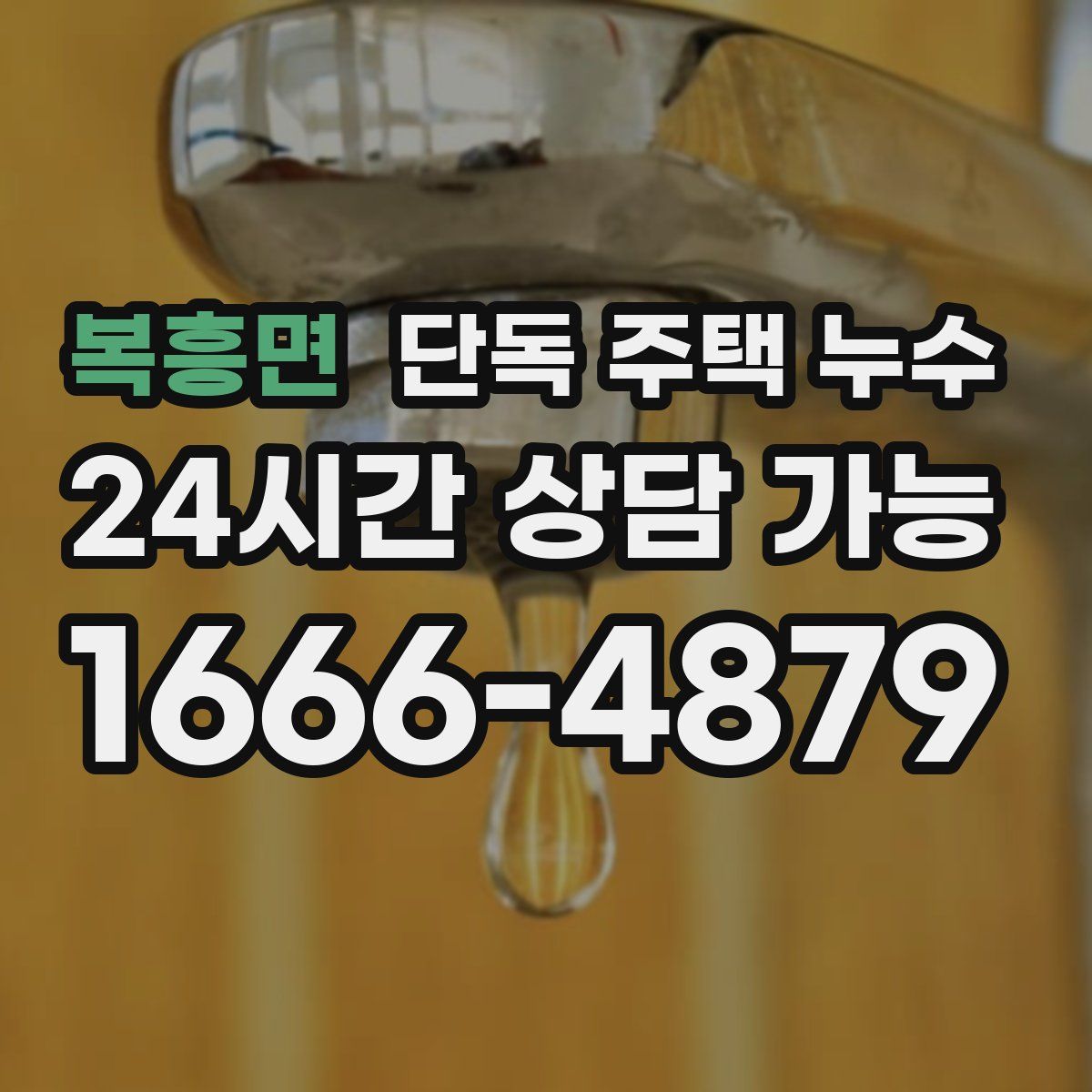 복흥면 단독 주택 누수