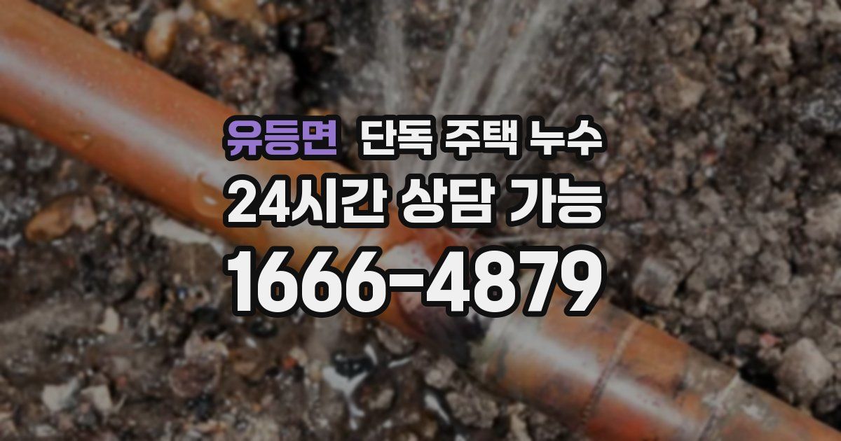 유등면 단독 주택 누수