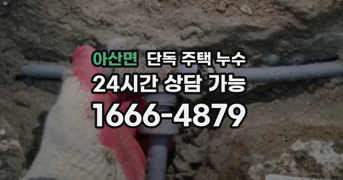 아산면 단독 주택 누수