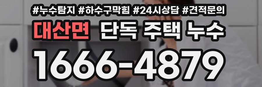 대산면 단독 주택 누수