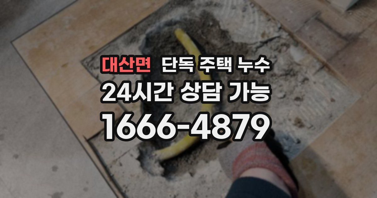 대산면 단독 주택 누수