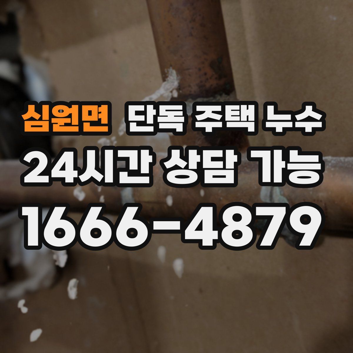 심원면 단독 주택 누수