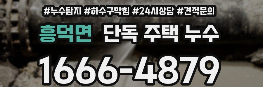 흥덕면 단독 주택 누수