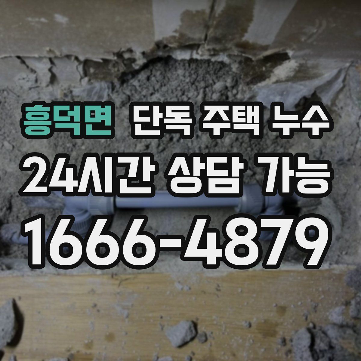 흥덕면 단독 주택 누수