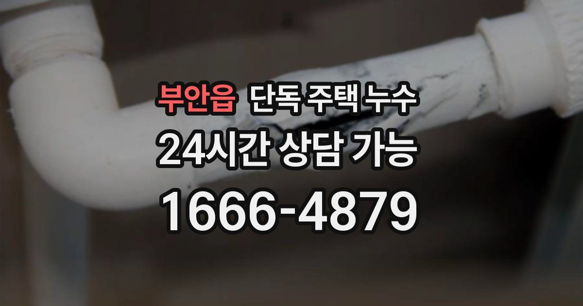 부안읍 단독 주택 누수