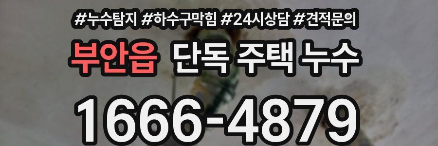 부안읍 단독 주택 누수