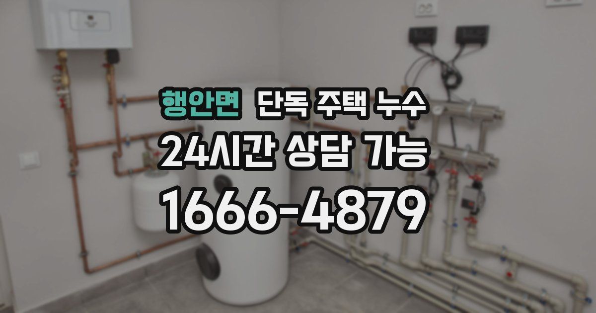 행안면 단독 주택 누수