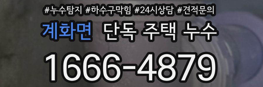 계화면 단독 주택 누수