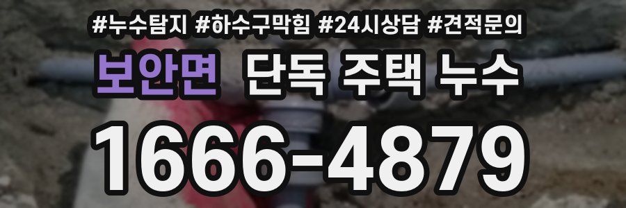 보안면 단독 주택 누수