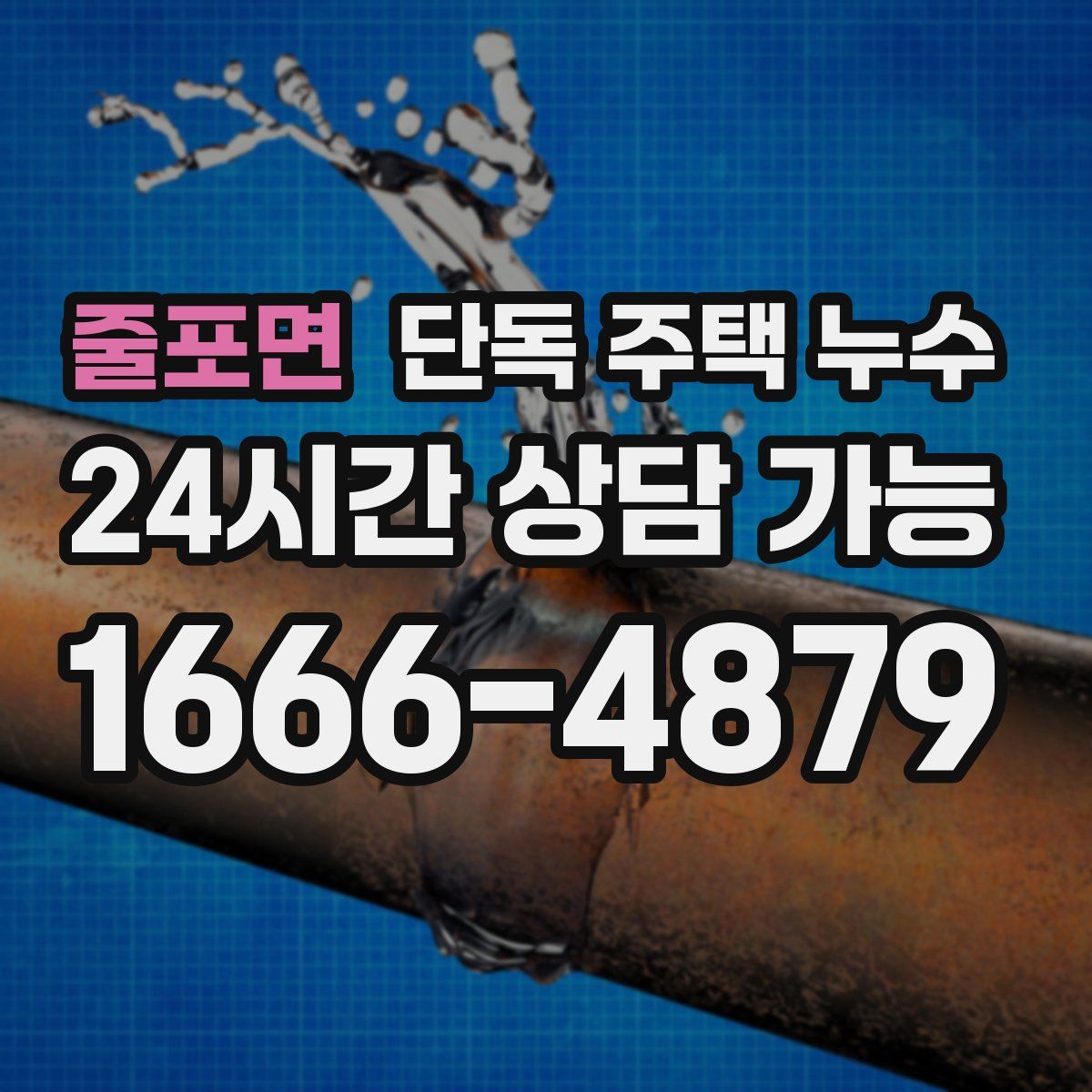 줄포면 단독 주택 누수