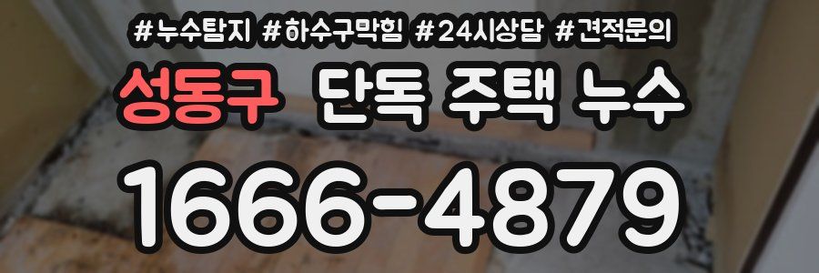 성동구 단독 주택 누수