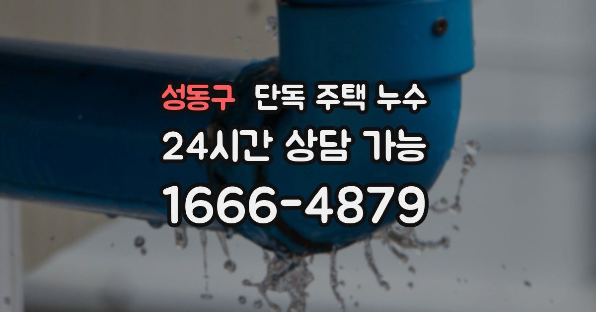 성동구 단독 주택 누수