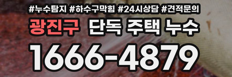 광진구 단독 주택 누수