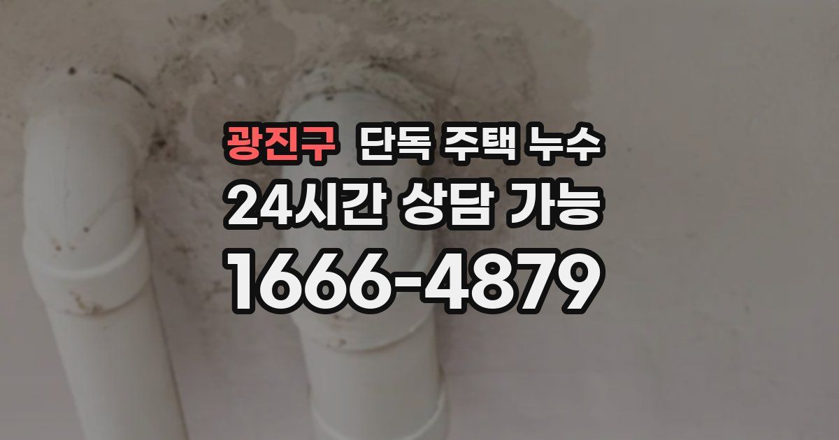 광진구 단독 주택 누수