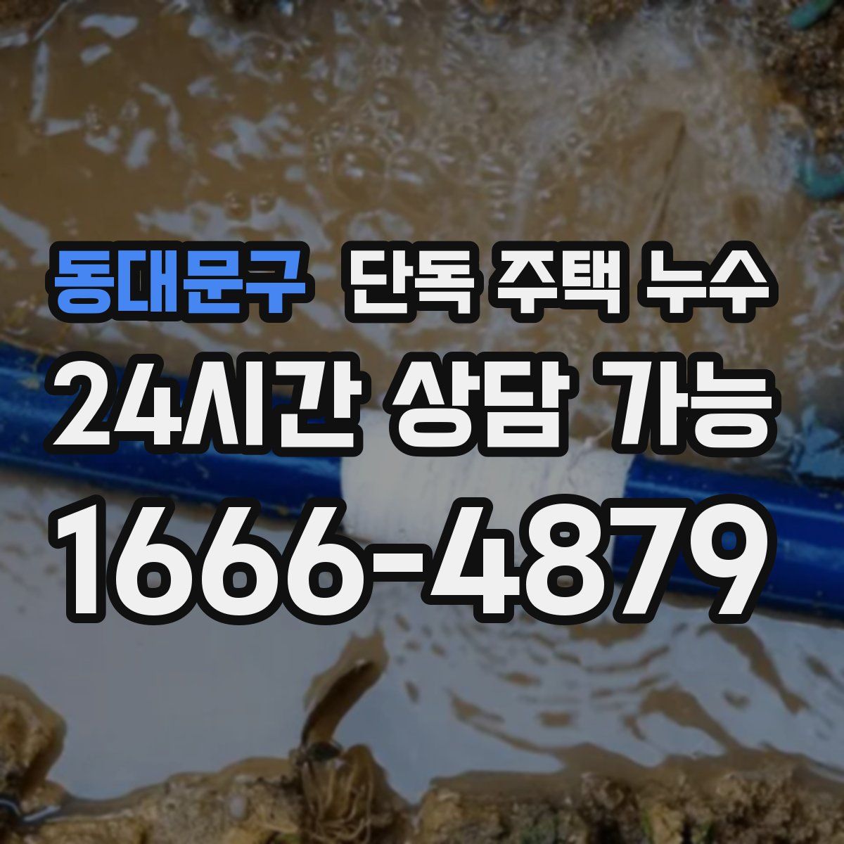 동대문구 단독 주택 누수