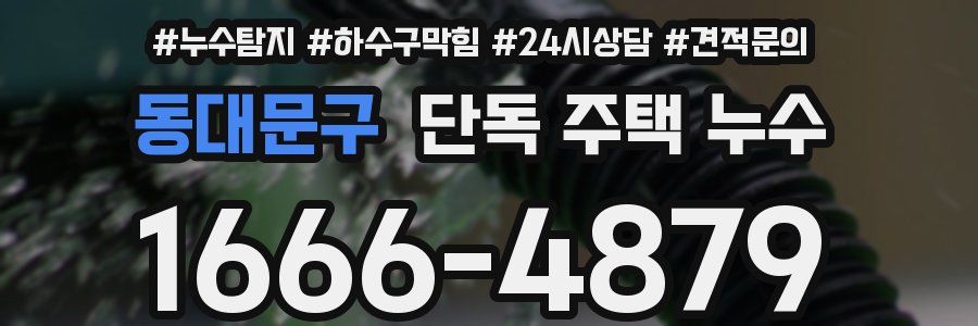 동대문구 단독 주택 누수