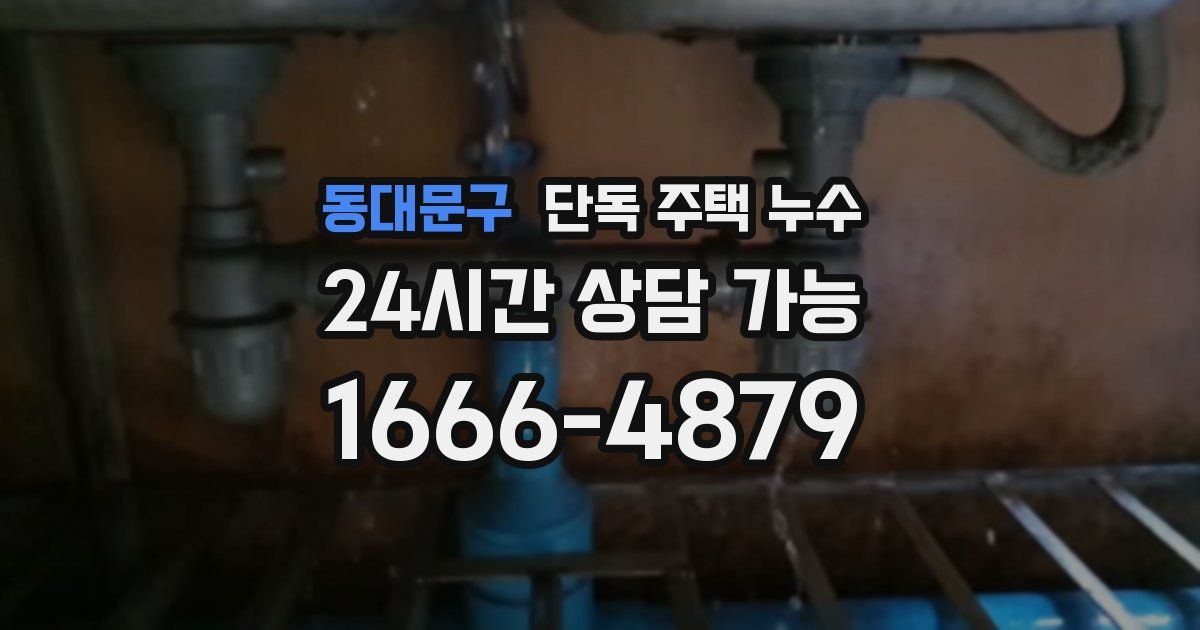 동대문구 단독 주택 누수