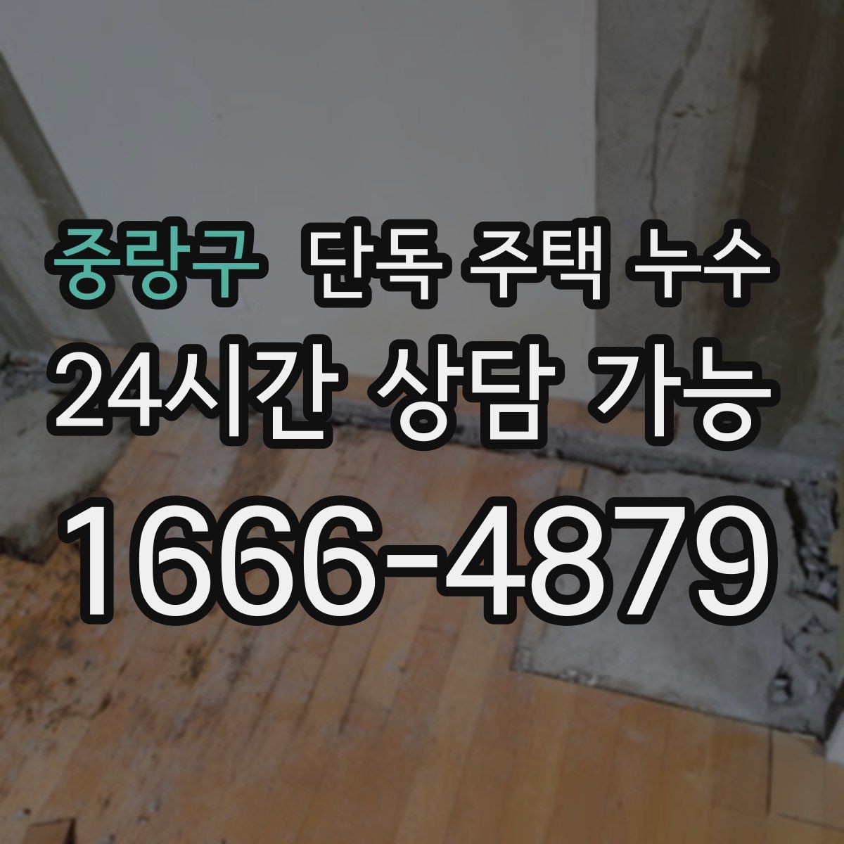 중랑구 단독 주택 누수 마당 매설 배관에서 새는 경우